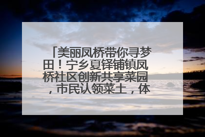 美丽凤桥带你寻梦田！宁乡夏铎铺镇凤桥社区创新共享菜园，市民认领菜土，体验耕种收获乐趣