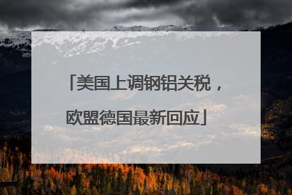 美国上调钢铝关税，欧盟德国最新回应
