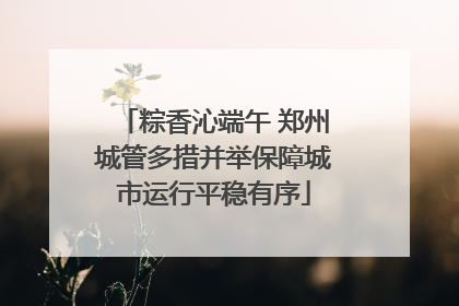 粽香沁端午 郑州城管多措并举保障城市运行平稳有序