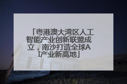 粤港澳大湾区人工智能产业创新联盟成立，南沙打造全球AI产业新高地