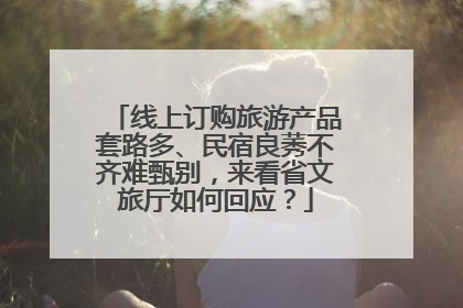 线上订购旅游产品套路多、民宿良莠不齐难甄别，来看省文旅厅如何回应？