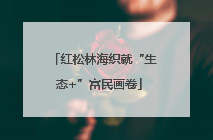 红松林海织就“生态+”富民画卷