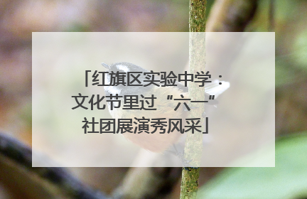 红旗区实验中学：文化节里过“六一” 社团展演秀风采