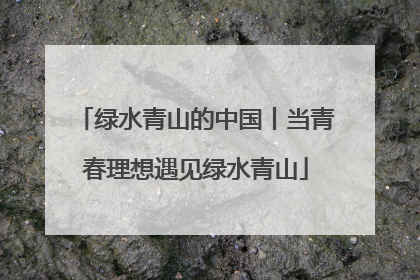 绿水青山的中国丨当青春理想遇见绿水青山