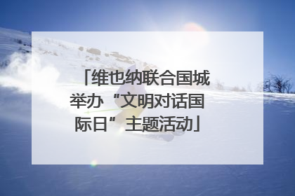 维也纳联合国城举办“文明对话国际日”主题活动
