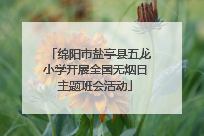 绵阳市盐亭县五龙小学开展全国无烟日主题班会活动