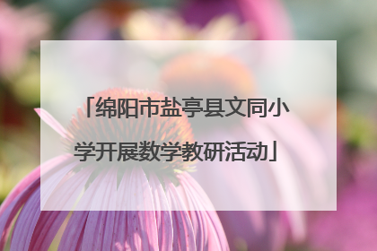 绵阳市盐亭县文同小学开展数学教研活动