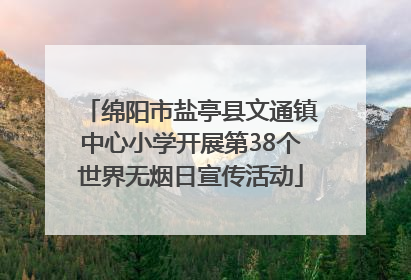 绵阳市盐亭县文通镇中心小学开展第38个世界无烟日宣传活动