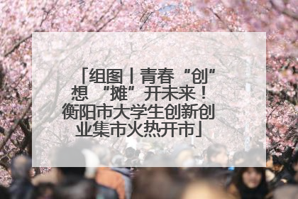 组图丨青春“创”想 “摊”开未来！衡阳市大学生创新创业集市火热开市