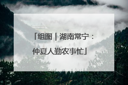 组图｜湖南常宁：仲夏人勤农事忙