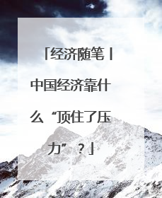 经济随笔丨中国经济靠什么“顶住了压力”？