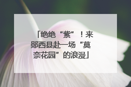 绝绝“紫”！来郧西县赴一场“莫奈花园”的浪漫