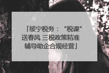 绥宁税务：“税课”送春风 三税政策精准辅导助企合规经营