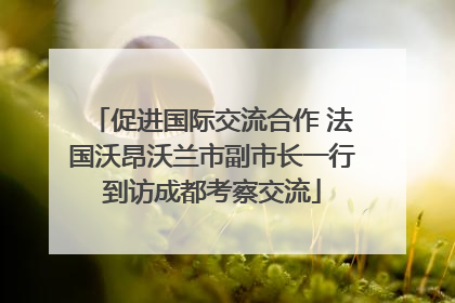 促进国际交流合作 法国沃昂沃兰市副市长一行到访成都考察交流