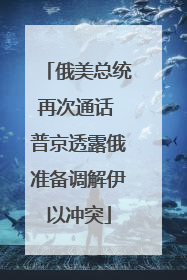 俄美总统再次通话 普京透露俄准备调解伊以冲突