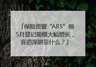 保险资管“ABS”前5月登记规模大幅增长，赛道深耕靠什么？
