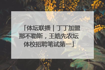 体坛联播｜丁丁加盟那不勒斯，王皓先农坛体校招聘笔试第一