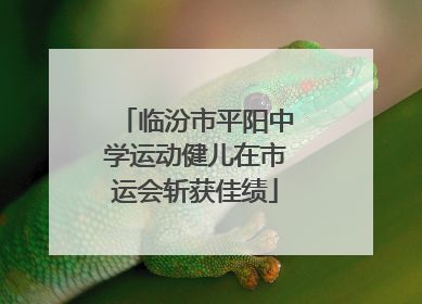 临汾市平阳中学运动健儿在市运会斩获佳绩