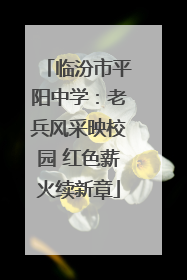 临汾市平阳中学：老兵风采映校园 红色薪火续新章