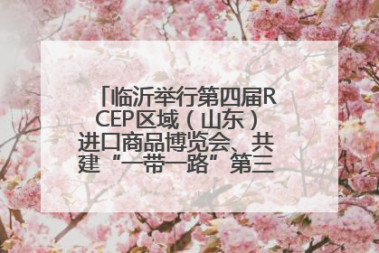 临沂举行第四届RCEP区域（山东）进口商品博览会、共建“一带一路”第三届临沂商城国际采购商大会新闻发布会