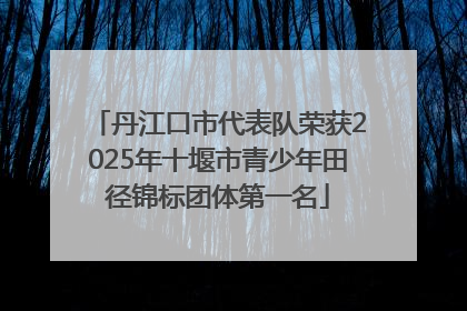 丹江口市代表队荣获2025年十堰市青少年田径锦标团体第一名