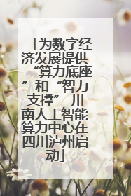 为数字经济发展提供“算力底座”和“智力支撑” 川南人工智能算力中心在四川泸州启动