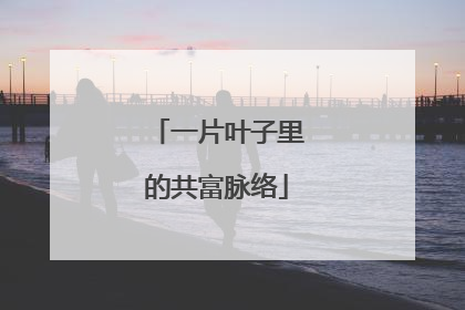 一片叶子里的共富脉络