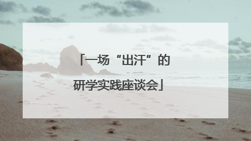 一场“出汗”的研学实践座谈会