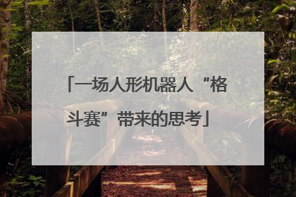一场人形机器人“格斗赛”带来的思考