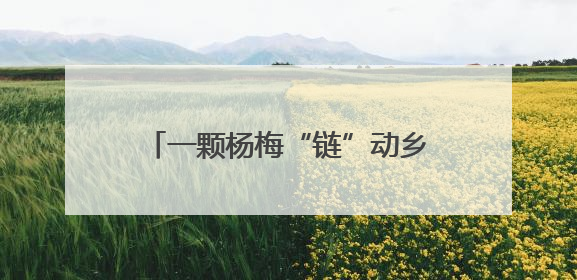 一颗杨梅“链”动乡村“产业共生圈”