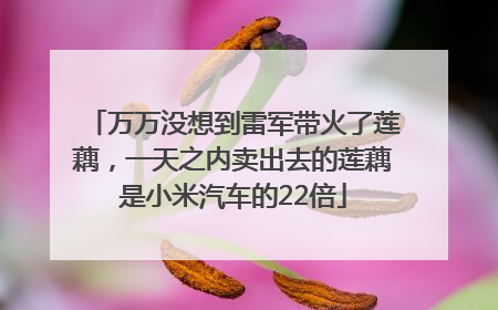 万万没想到雷军带火了莲藕，一天之内卖出去的莲藕是小米汽车的22倍