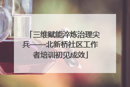 三维赋能淬炼治理尖兵——北新桥社区工作者培训初见成效