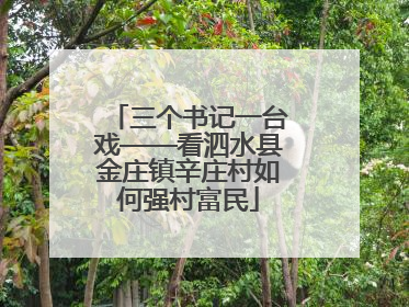 三个书记一台戏——看泗水县金庄镇辛庄村如何强村富民