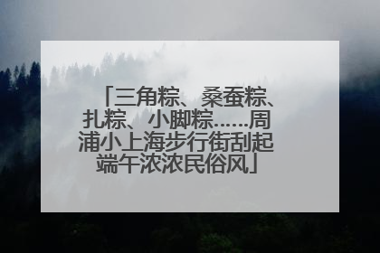 三角粽、桑蚕粽、扎粽、小脚粽……周浦小上海步行街刮起端午浓浓民俗风