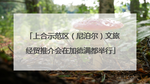 上合示范区（尼泊尔）文旅经贸推介会在加德满都举行