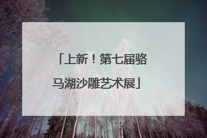 上新！第七届骆马湖沙雕艺术展