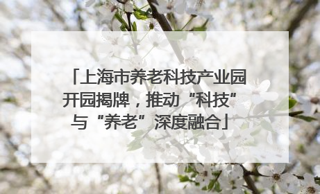 上海市养老科技产业园开园揭牌，推动“科技”与“养老”深度融合