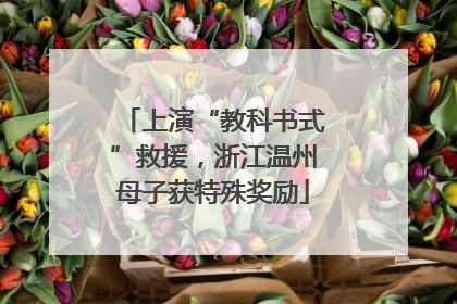 上演“教科书式”救援，浙江温州母子获特殊奖励