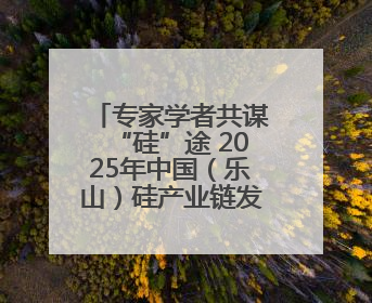 专家学者共谋“硅”途 2025年中国（乐山）硅产业链发展大会开幕