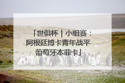 世俱杯｜小组赛：阿根廷博卡青年战平葡萄牙本菲卡