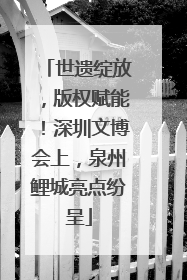世遗绽放，版权赋能！深圳文博会上，泉州鲤城亮点纷呈