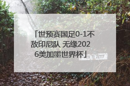 世预赛国足0-1不敌印尼队 无缘2026美加墨世界杯
