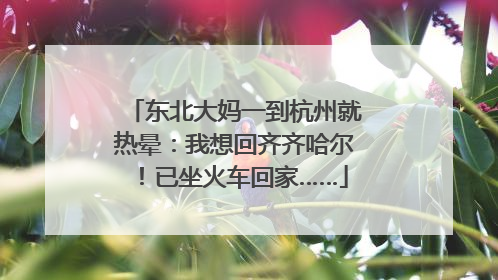 东北大妈一到杭州就热晕：我想回齐齐哈尔！已坐火车回家……