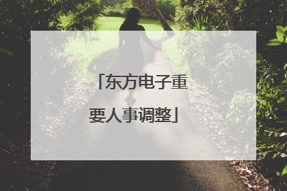 东方电子重要人事调整