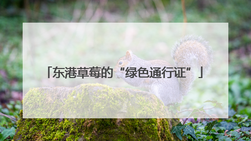 东港草莓的“绿色通行证”