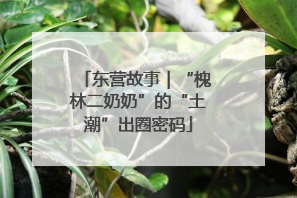 东营故事｜“槐林二奶奶”的“土潮”出圈密码
