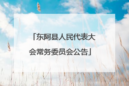东阿县人民代表大会常务委员会公告