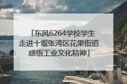 东风6264学校学生走进十堰张湾区花果街道感悟工业文化精神