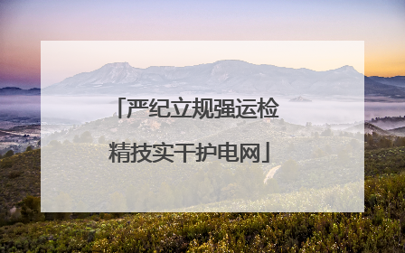 严纪立规强运检 精技实干护电网