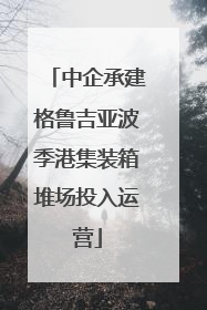 中企承建格鲁吉亚波季港集装箱堆场投入运营